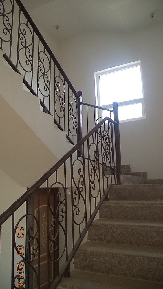 تضامن سيتي 1