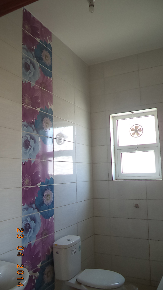 تضامن سيتي 1