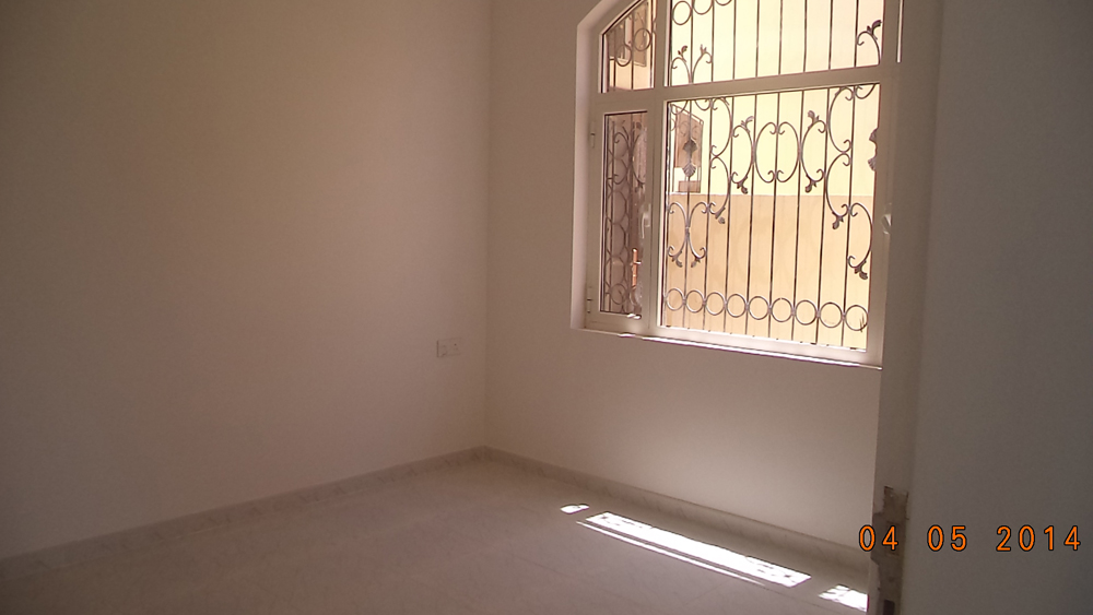 تضامن سيتي 1