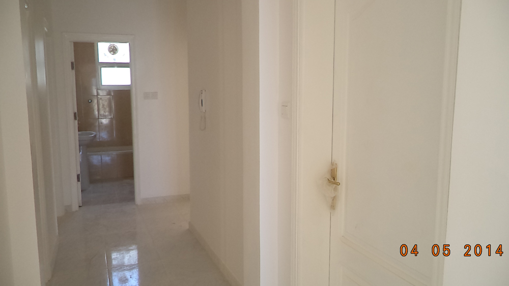 تضامن سيتي 1