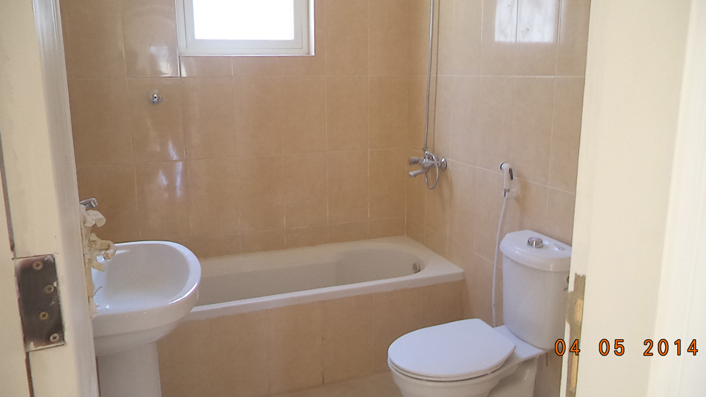 تضامن سيتي 1