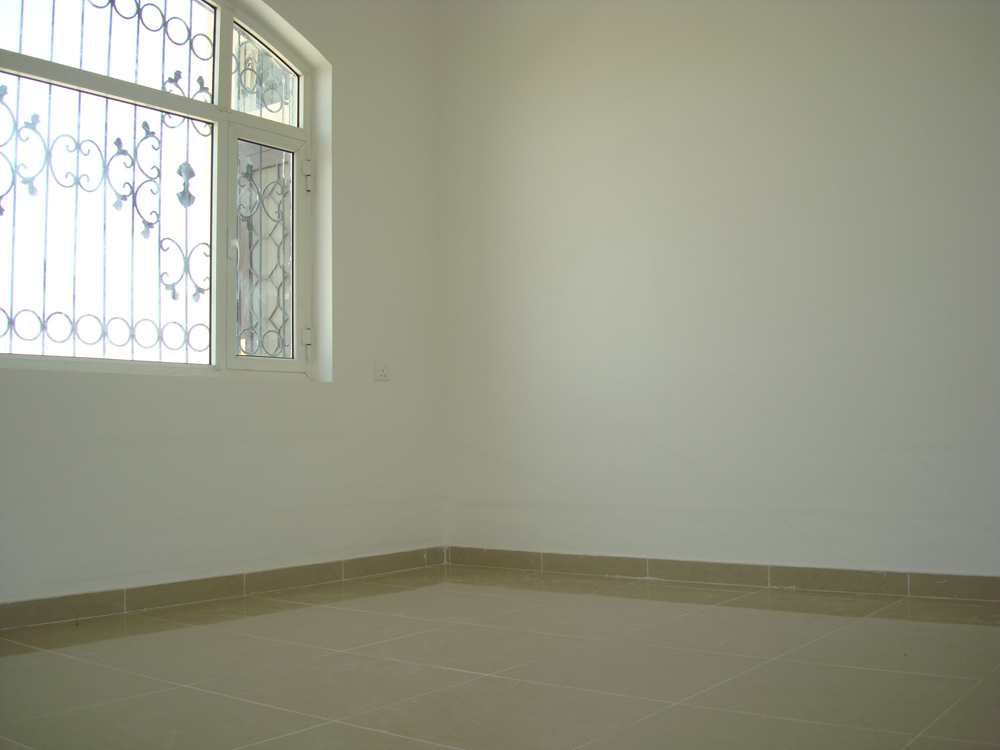 تضامن سيتي 1