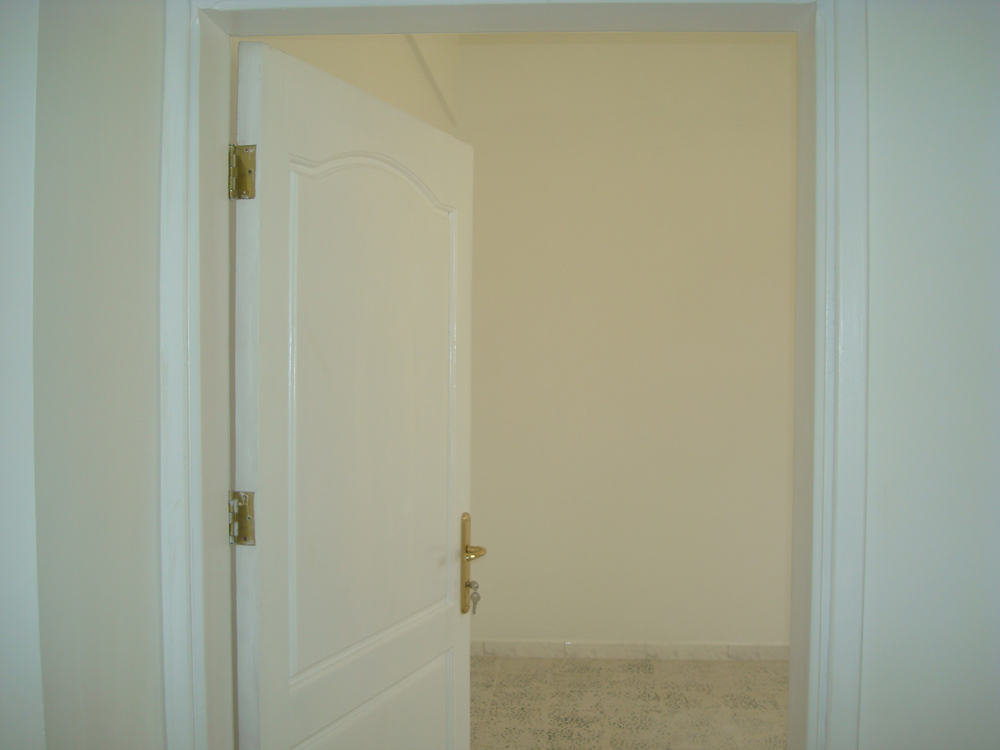 تضامن سيتي 1